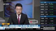 南方科技领航混合发起A